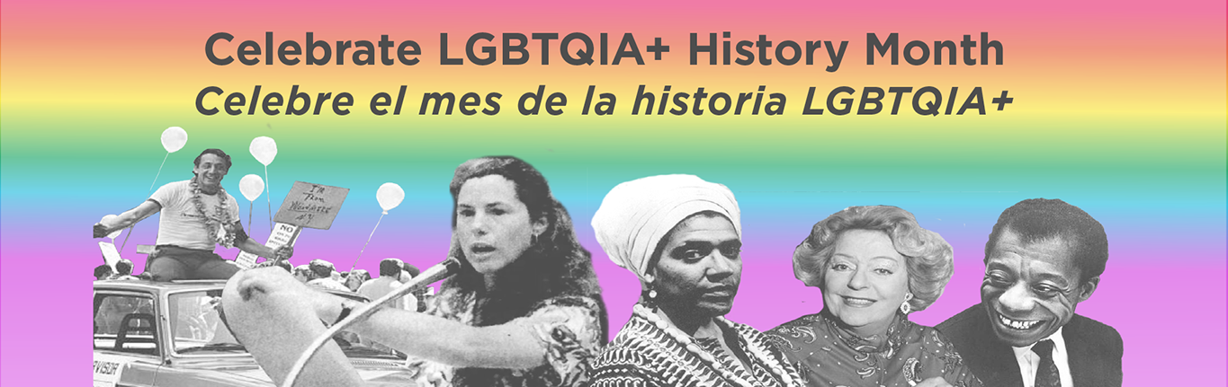 LGBTQIA+ History Month homeslide