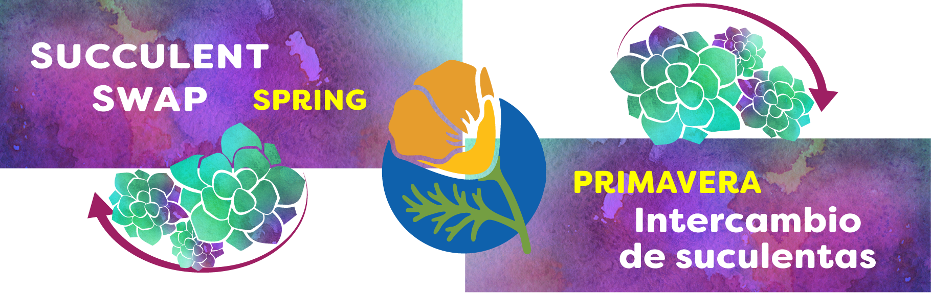 Succulent Swap homeslide