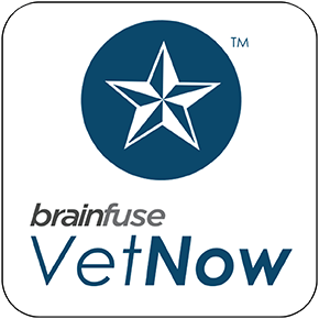 VetNow Icon