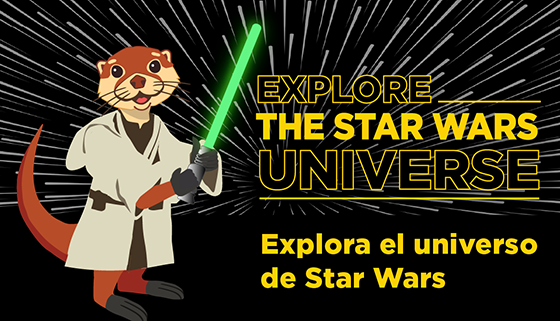 May the 4th