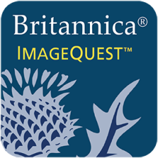 ImageQuest Logo